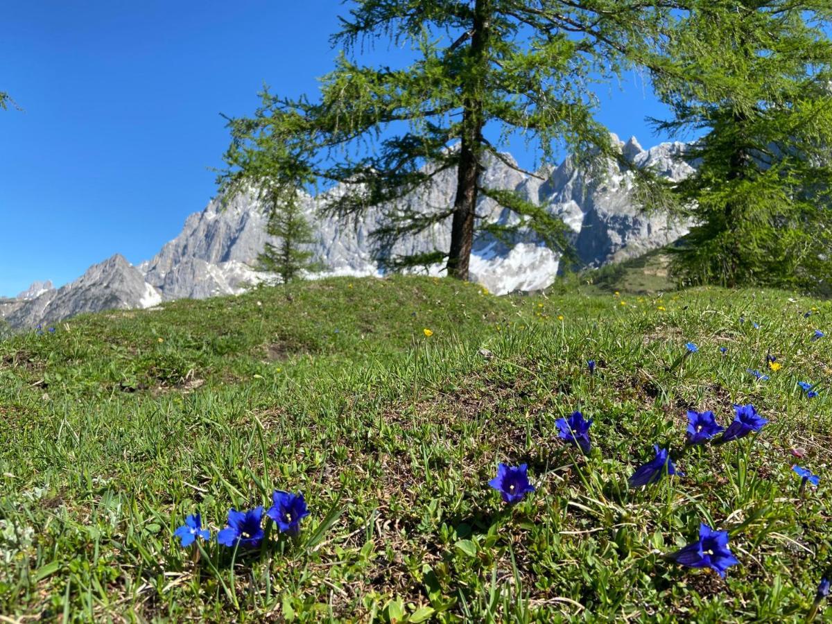 Haus Sonnleitner Leilighet Ramsau am Dachstein Eksteriør bilde